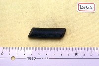 藏品(麂角一段)的圖片